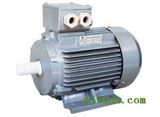Y2 Series Three phase induction motor