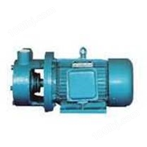 1W型单级旋涡泵│油泵│水泵│桶泵│电动抽液泵