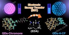 新疆理化所提出电子能量转移机制实现乙二胺高效检测
