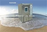 HOC-WS恒温热湿箱/高温高湿箱/上海恒温恒湿箱