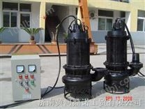 (NSQ)潜水煤泥泵煤浆泵泥浆泵