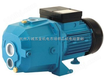 供应利欧XDPm505A深井喷射泵，花园灌溉泵，杭州LEO水泵代理