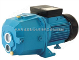 XDPM505A供应利欧XDPm505A深井喷射泵，花园灌溉泵，杭州LEO水泵代理