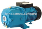 XDPM370A供应杭州利欧XDPm370A深井喷射泵，园林灌溉泵，杭州LEO水泵代理