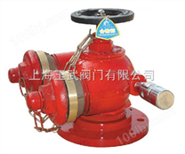 SQD多用式地上消防水泵接合器